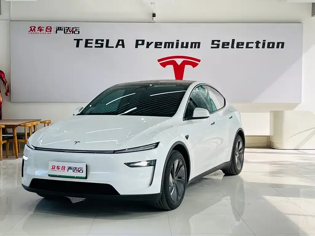 Tesla Model Y 2025 из CN, фото 1