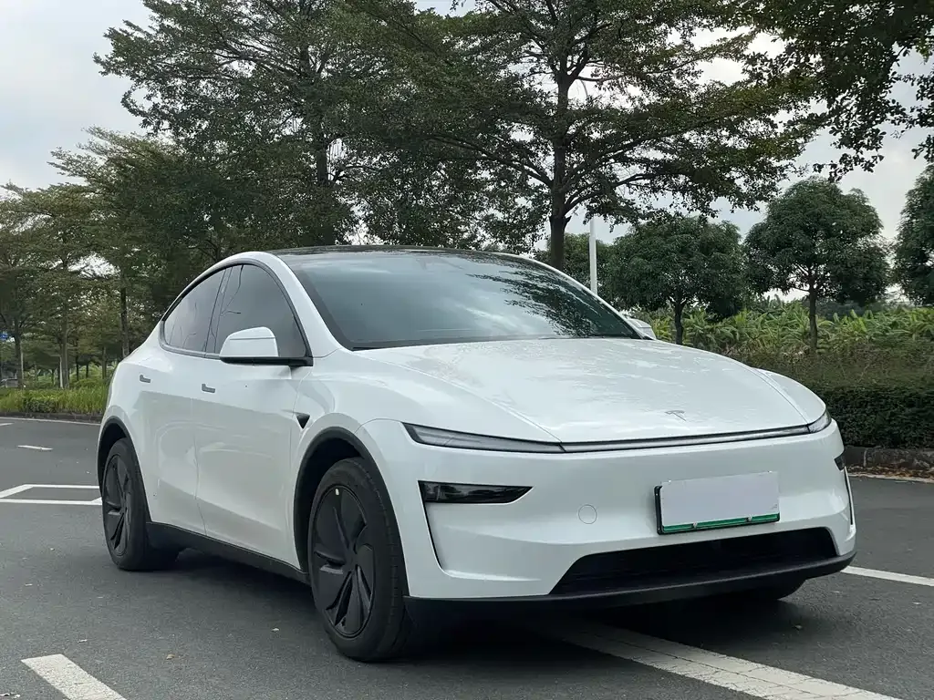 Tesla Model Y 2025 из CN, фото 9