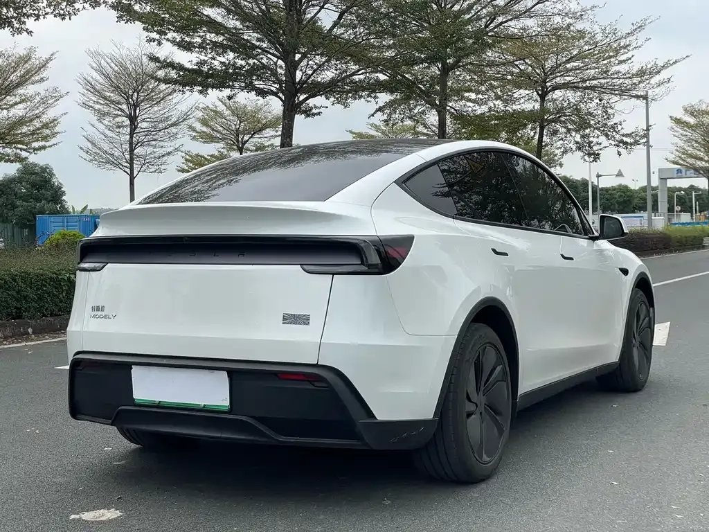 Tesla Model Y 2025 из CN, фото 8