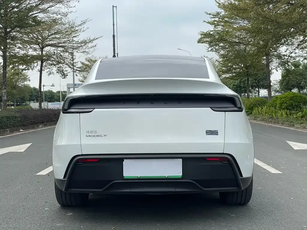 Tesla Model Y 2025 из CN, фото 7