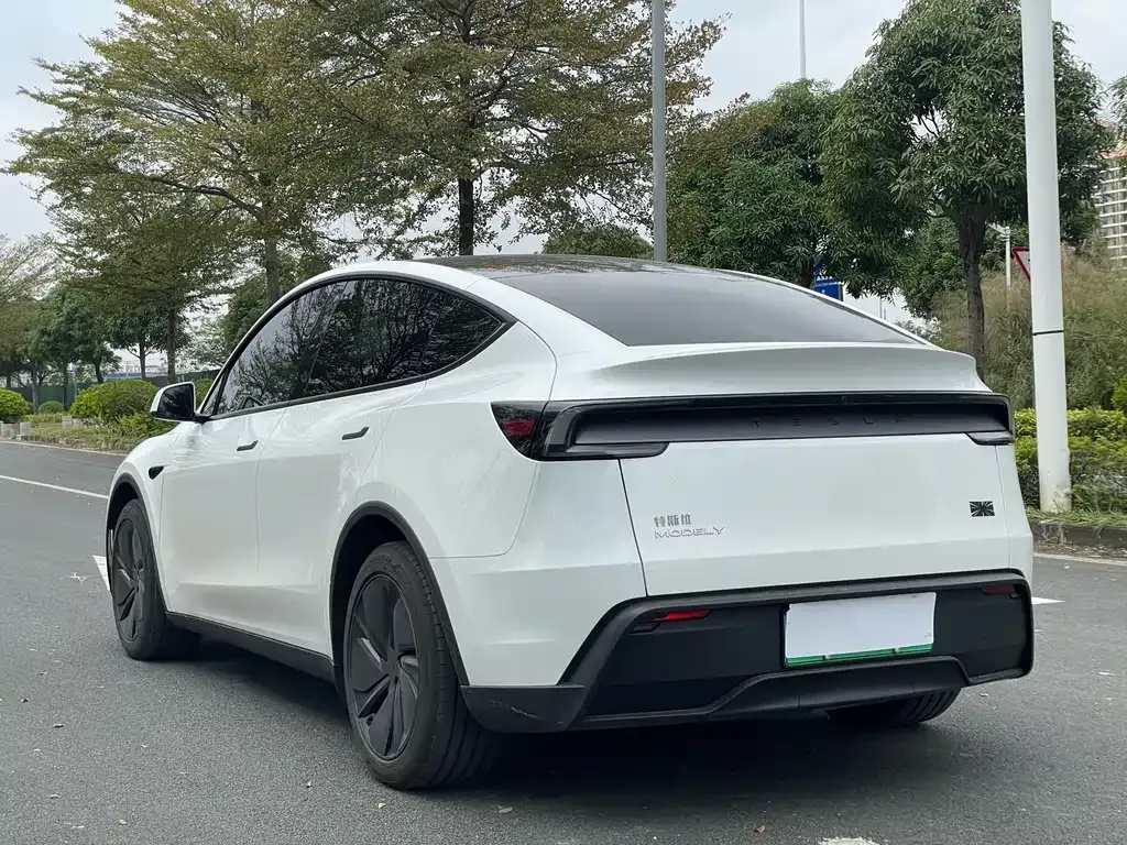 Tesla Model Y 2025 из CN, фото 6