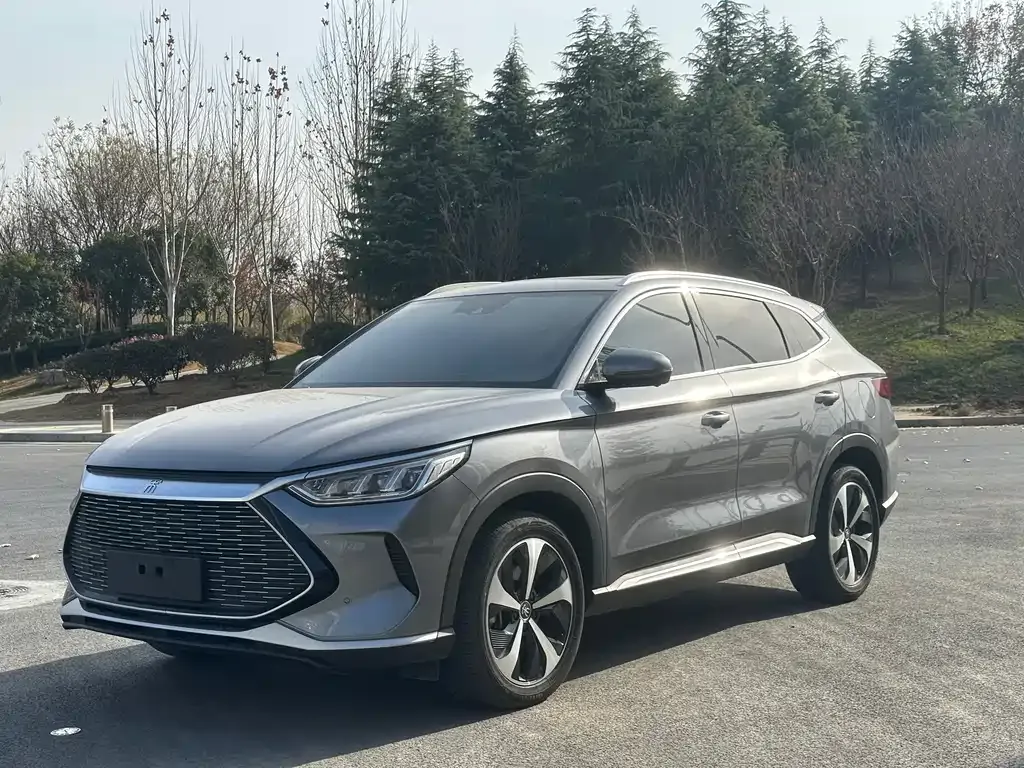 BYD PLUS New Energy 2022 из CN, фото 1