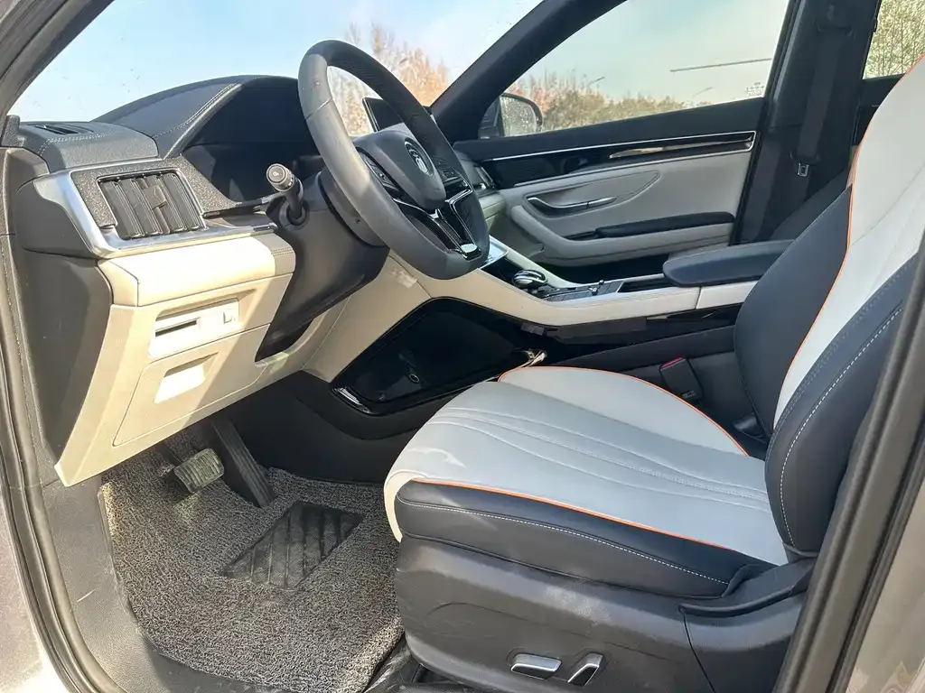 BYD PLUS New Energy 2022 из CN, фото 10