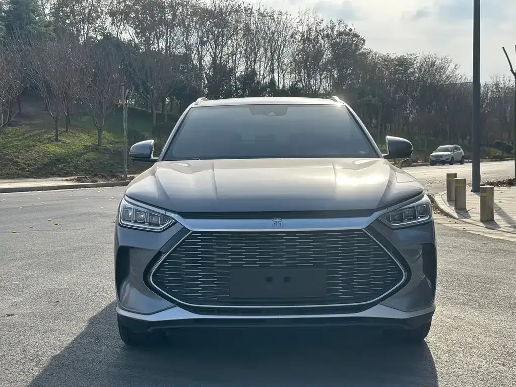 BYD PLUS New Energy 2022 из CN, фото 2