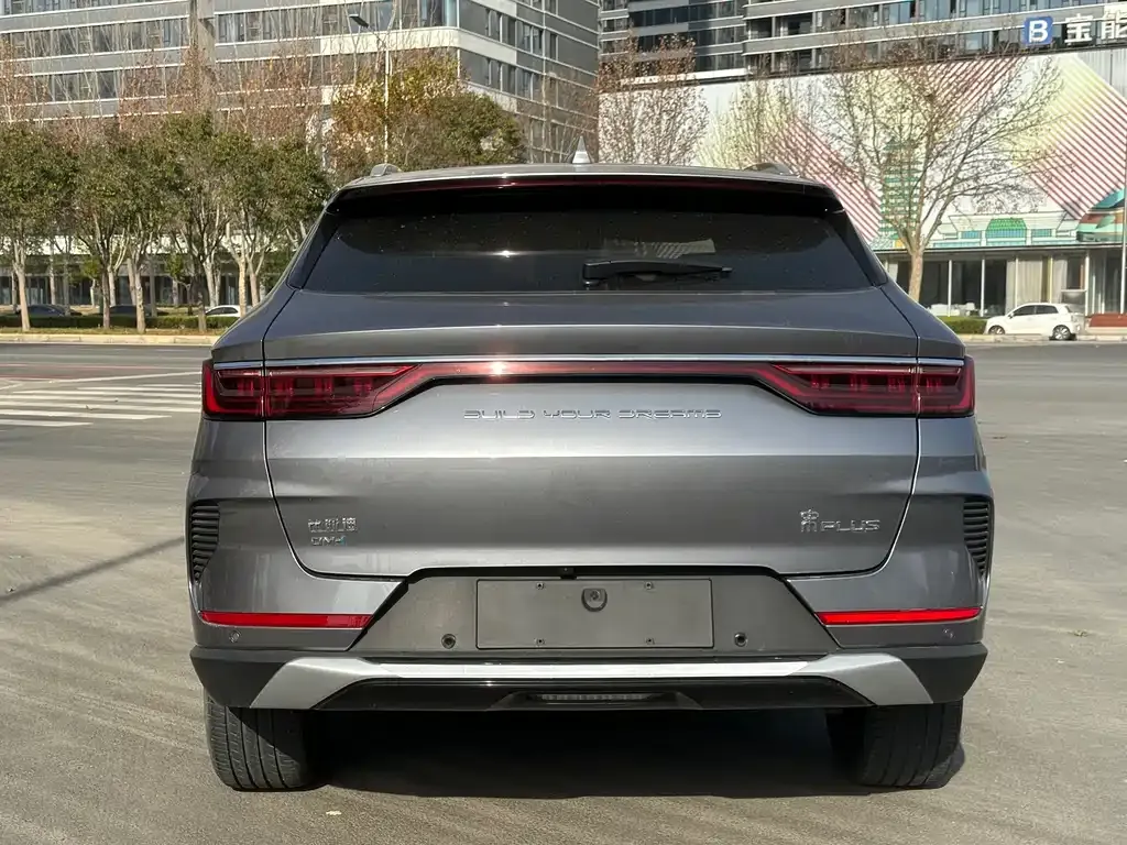 BYD PLUS New Energy 2022 из CN, фото 6