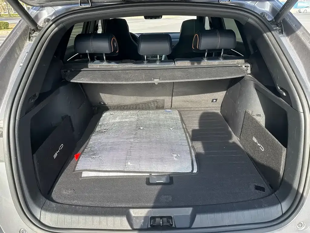 BYD PLUS New Energy 2022 из CN, фото 8