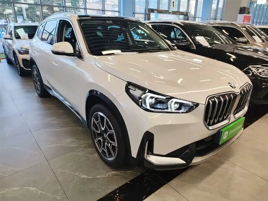 BMW X1 2023 из CN, фото 9