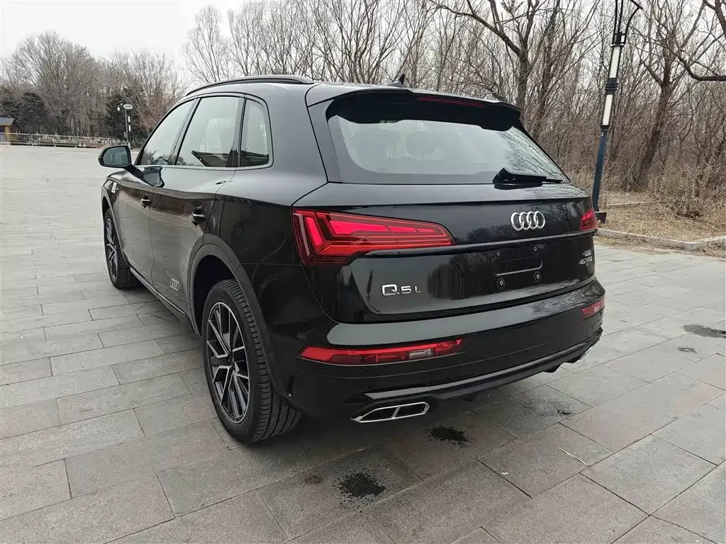 Audi Q5L 2025 из CN, фото 4