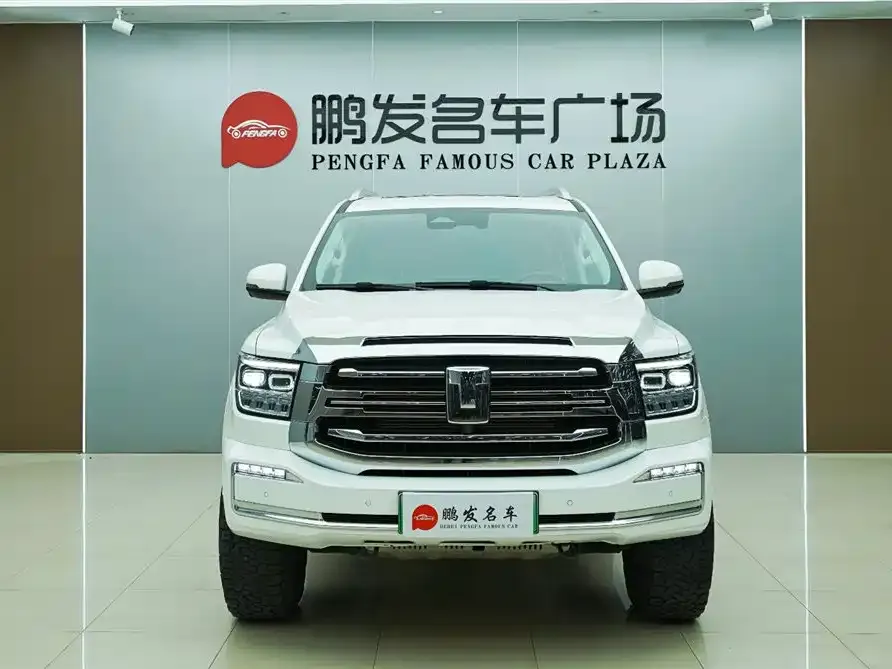 Tank 500 New Energy 2023 из CN, фото 4