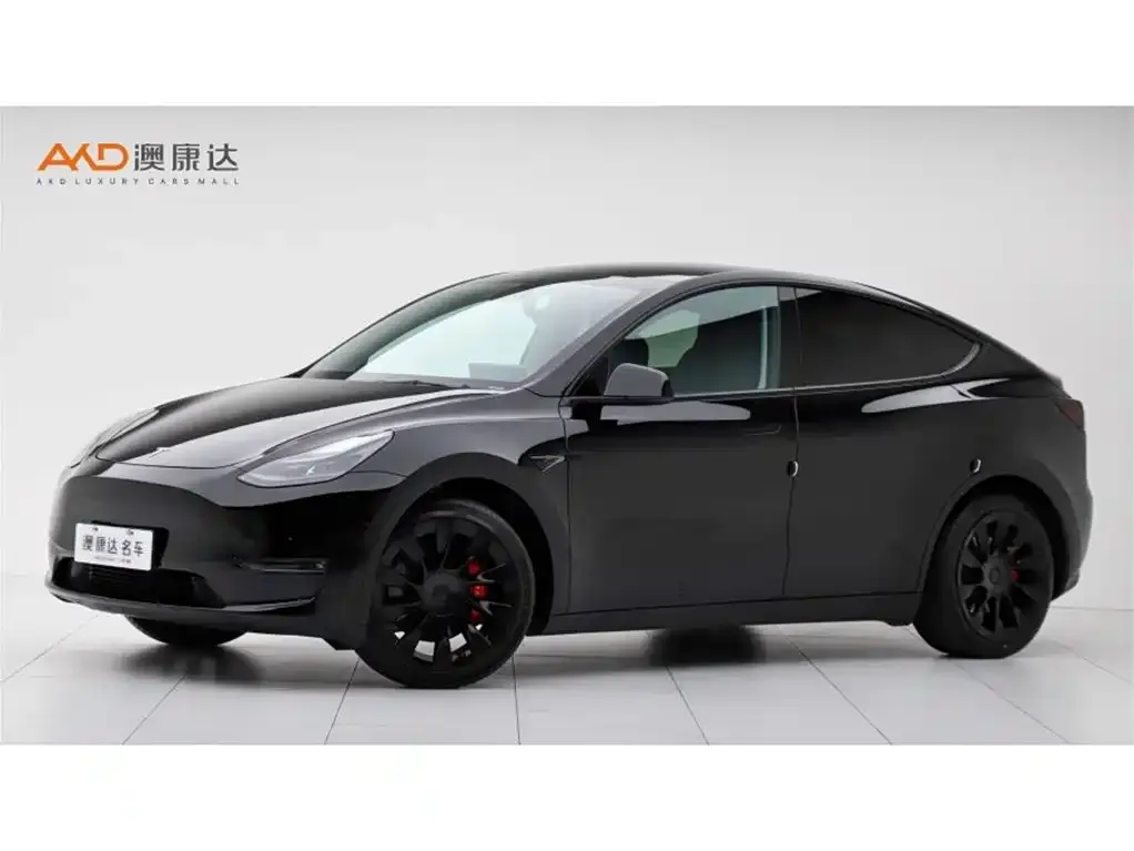 Tesla Model Y 2021 из CN, фото 1