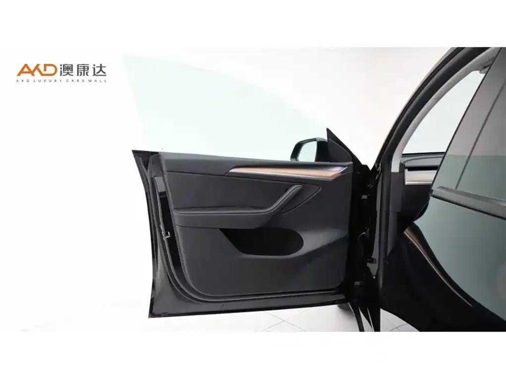 Tesla Model Y 2021 из CN, фото 2