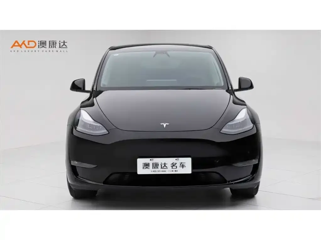Tesla Model Y 2021 из CN, фото 10