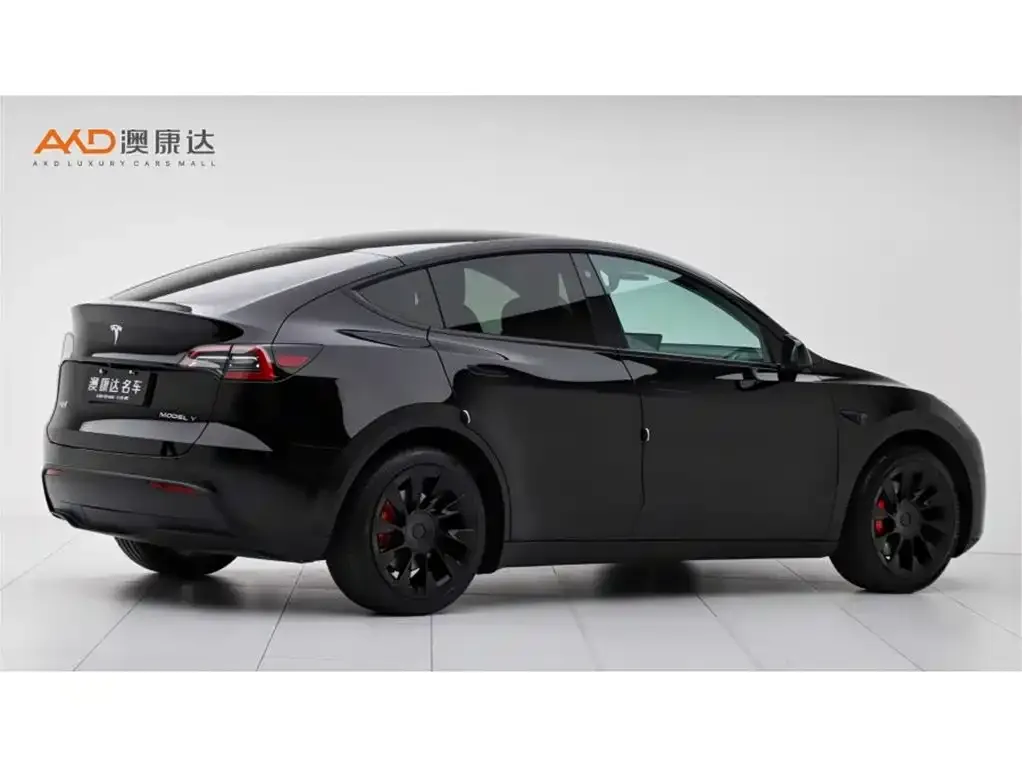 Tesla Model Y 2021 из CN, фото 9