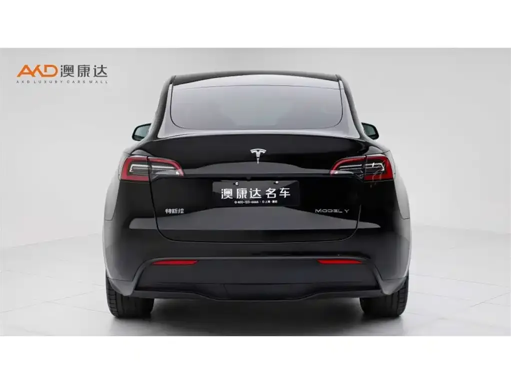 Tesla Model Y 2021 из CN, фото 4