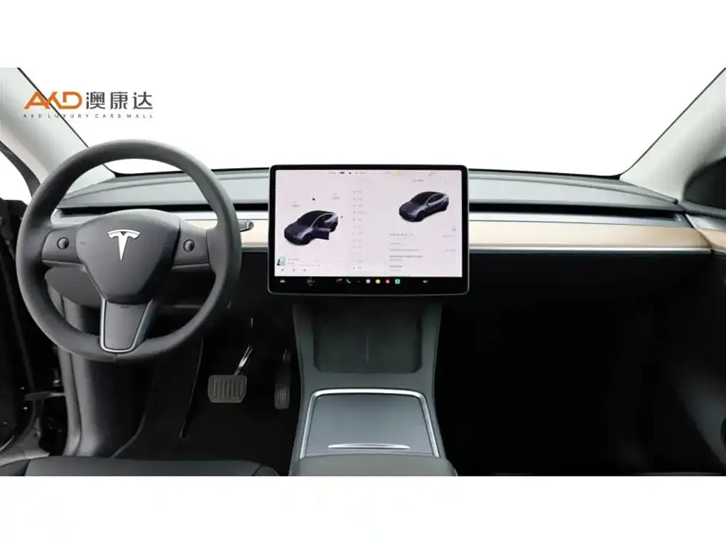 Tesla Model Y 2021 из CN, фото 6