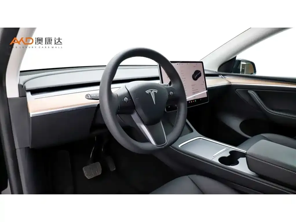 Tesla Model Y 2021 из CN, фото 5