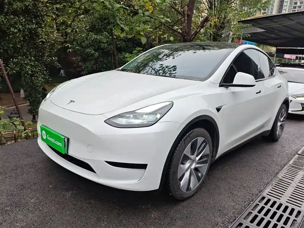 Tesla Model Y — фото 8