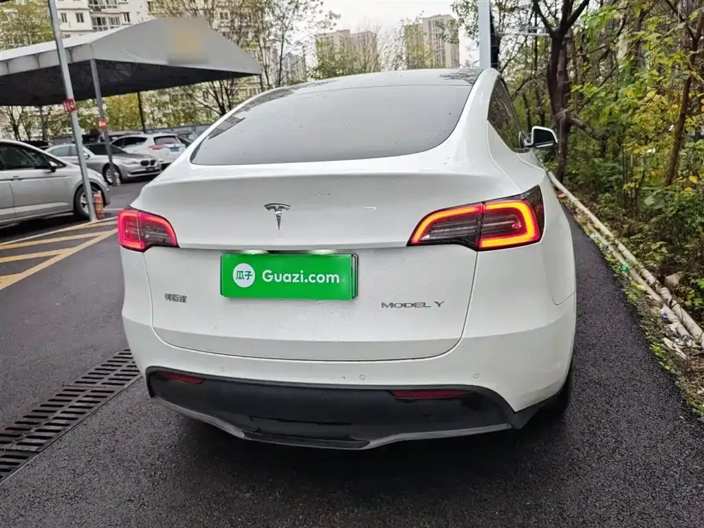 Tesla Model Y — фото 10