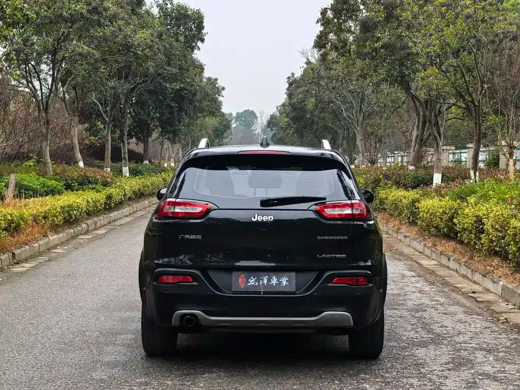 Jeep Cherokee 2021 из CN, фото 5