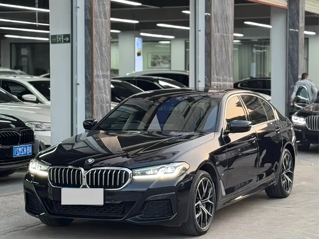 BMW 5 Series 2023 из CN, фото 1