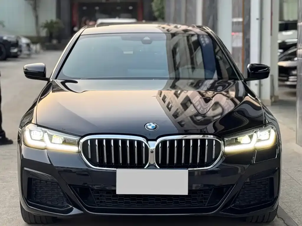 BMW 5 Series 2023 из CN, фото 2
