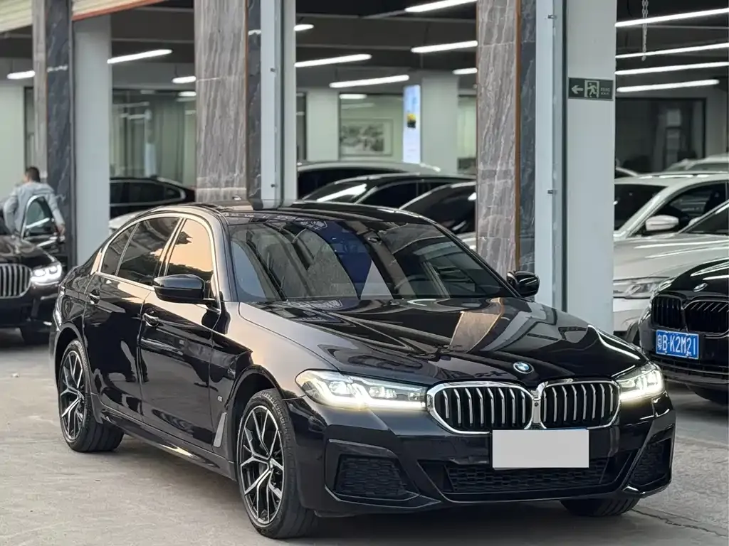 BMW 5 Series 2023 из CN, фото 5