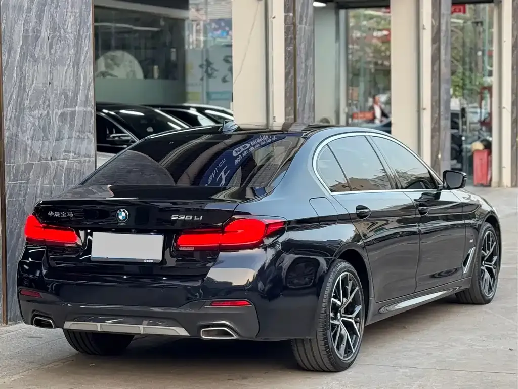 BMW 5 Series 2023 из CN, фото 8