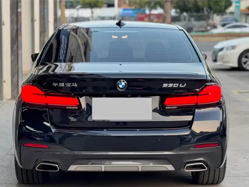 BMW 5 Series 2023 из CN, фото 3