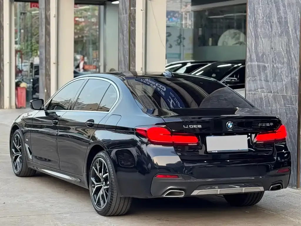 BMW 5 Series 2023 из CN, фото 4