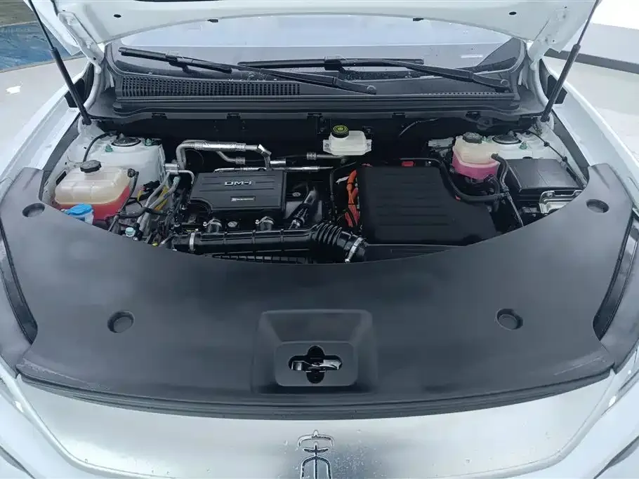 BYD Pro New Energy 2025 из CN, фото 3