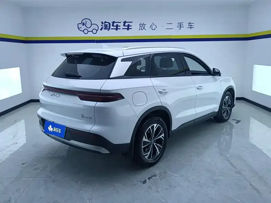 BYD Pro New Energy 2025 из CN, фото 9