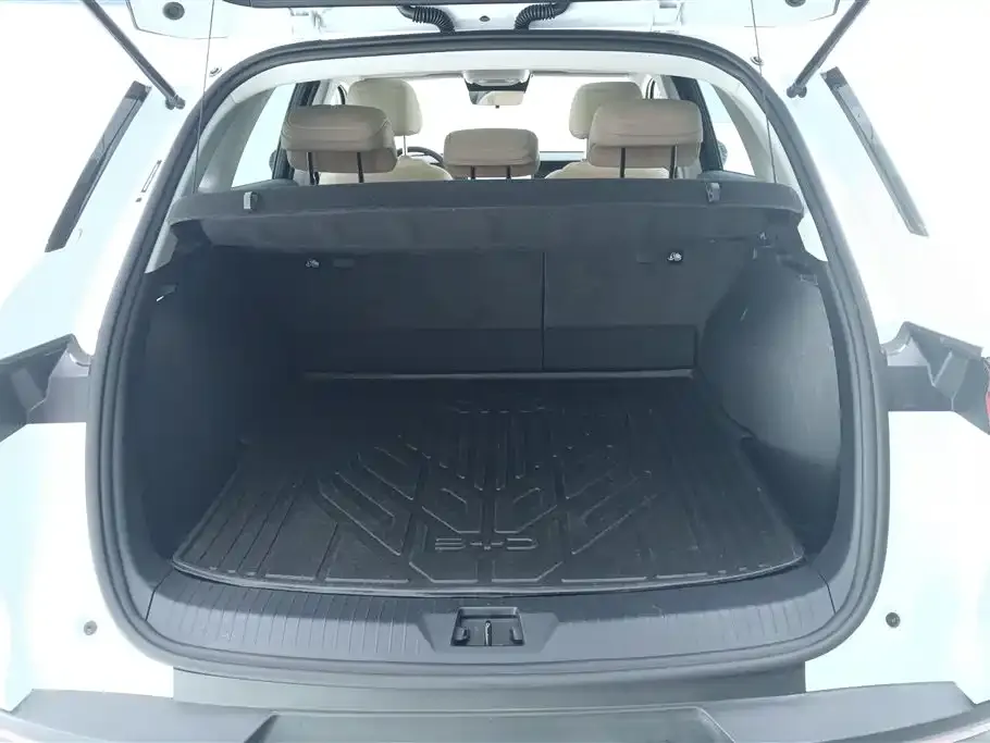 BYD Pro New Energy 2025 из CN, фото 10