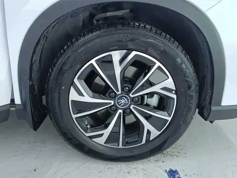 BYD Pro New Energy 2025 из CN, фото 5