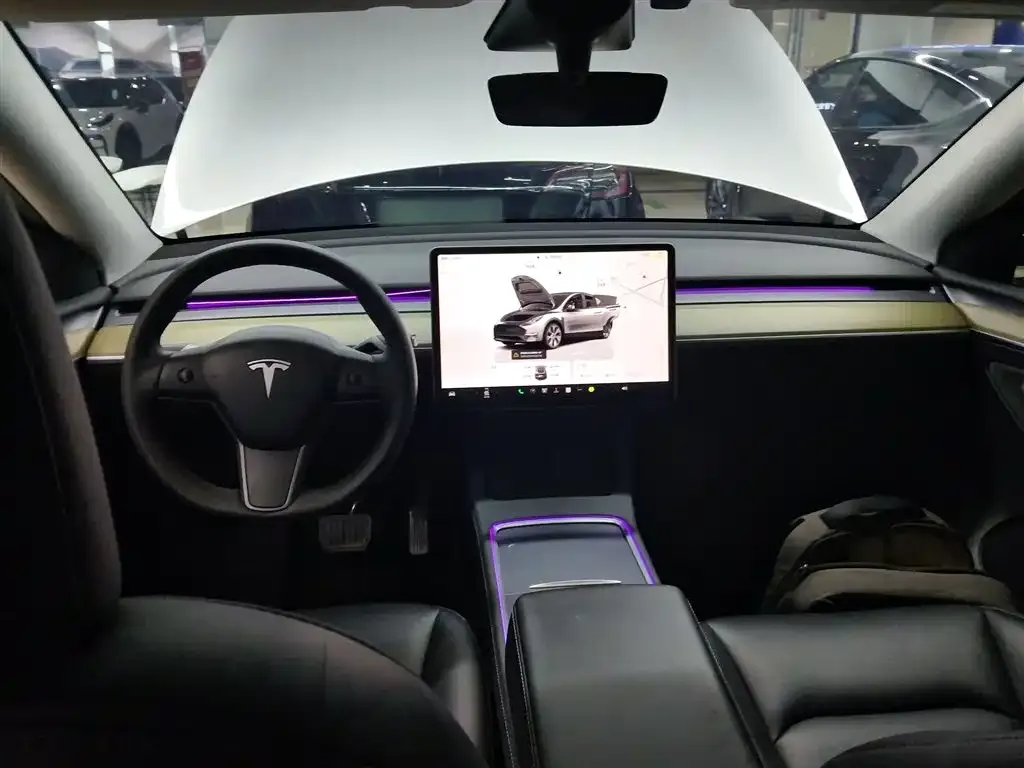 Tesla Model Y 2023 из CN, фото 2