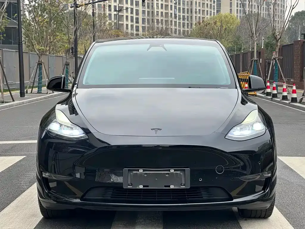 Tesla Model Y — фото 7