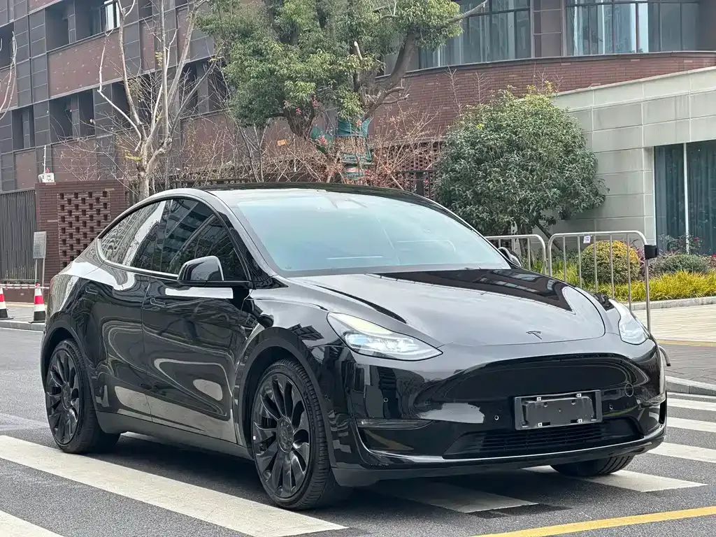 Tesla Model Y — фото 10