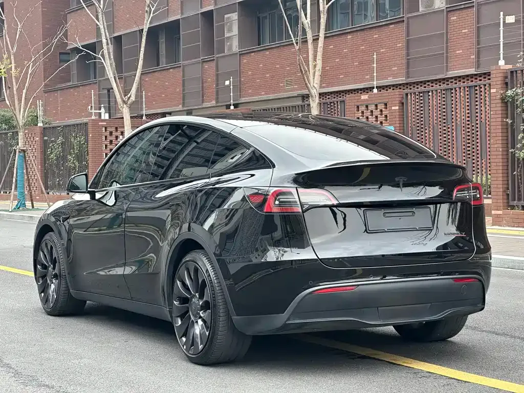 Tesla Model Y — фото 9