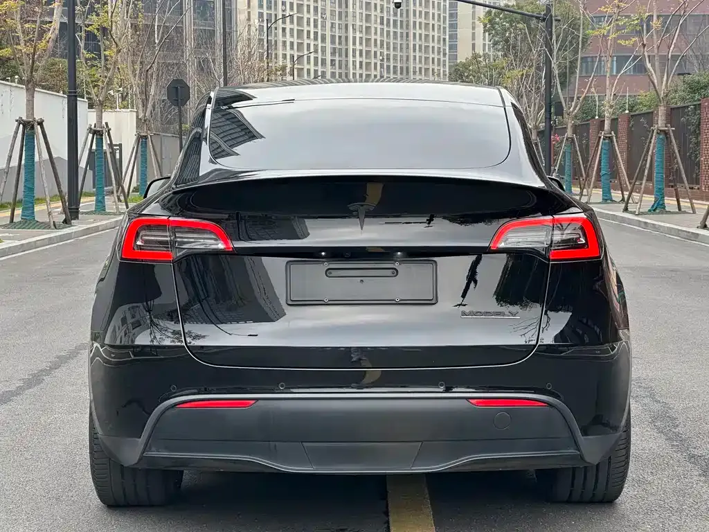Tesla Model Y — фото 5
