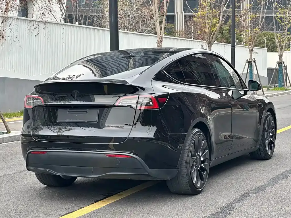 Tesla Model Y — фото 6