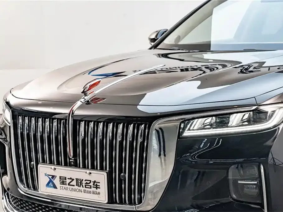 Hongqi H9 2022 из CN, фото 4