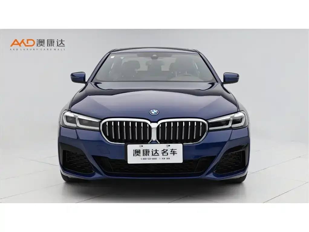 BMW 5 Series New Energy 2022 из CN, фото 7
