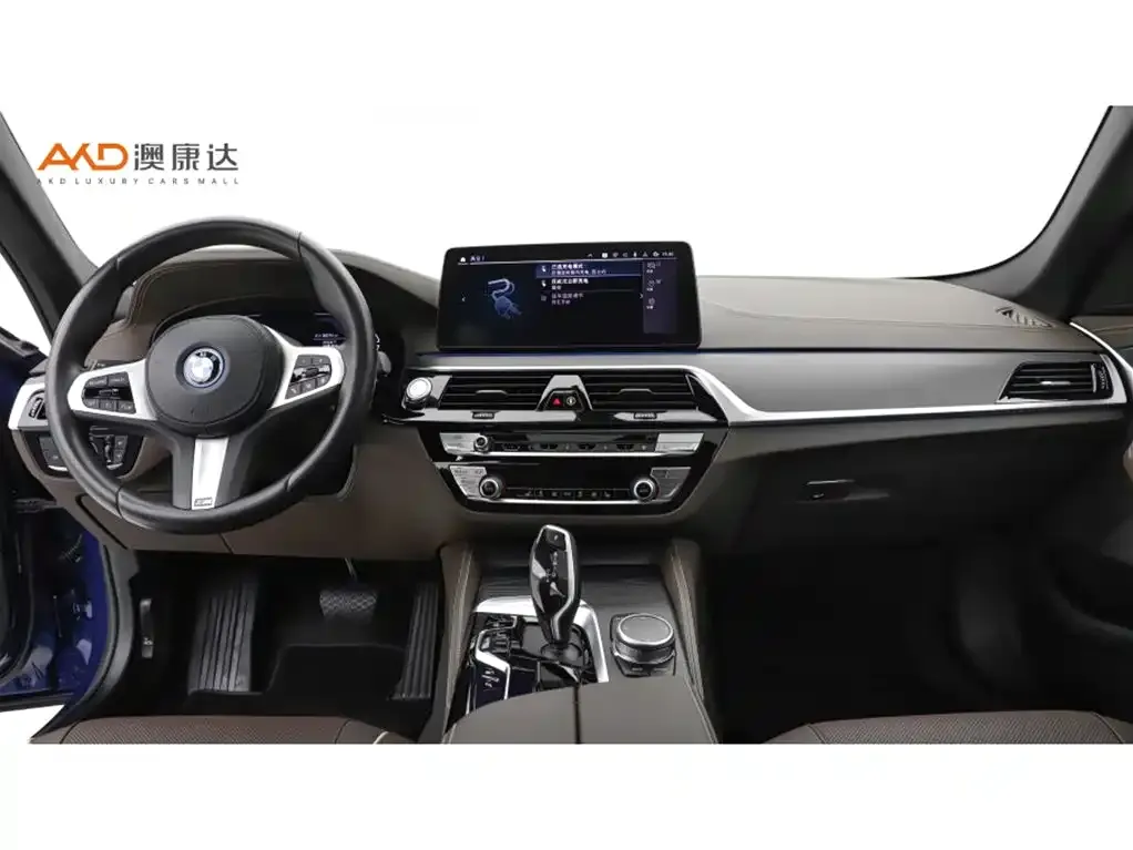 BMW 5 Series New Energy 2022 из CN, фото 8