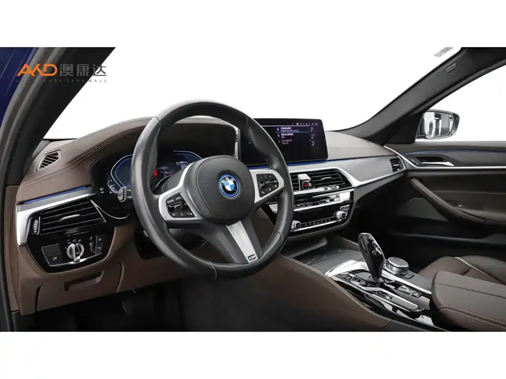 BMW 5 Series New Energy 2022 из CN, фото 10