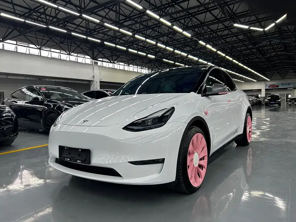 Tesla Model Y 2024 из CN, фото 1