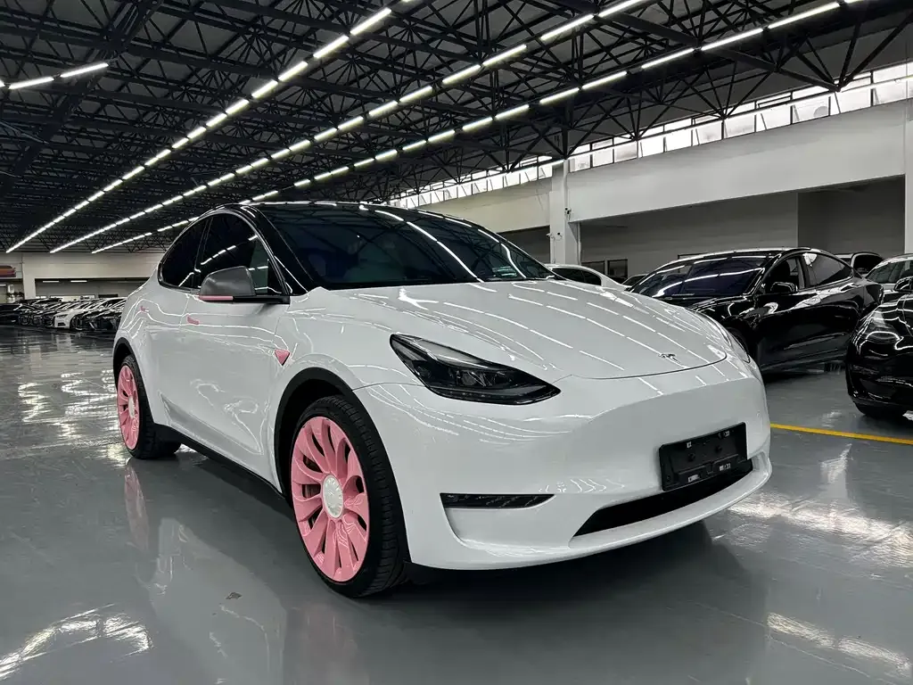 Tesla Model Y 2024 из CN, фото 5