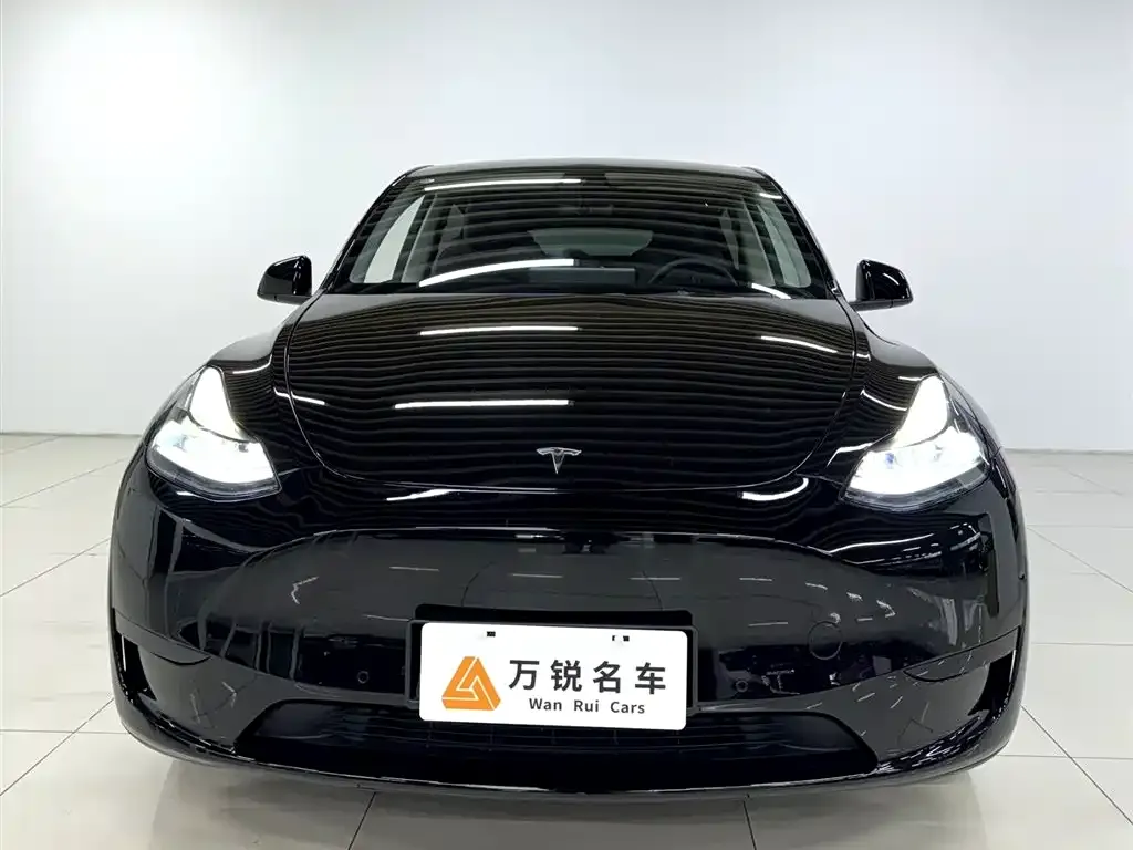 Tesla Model Y — фото 2