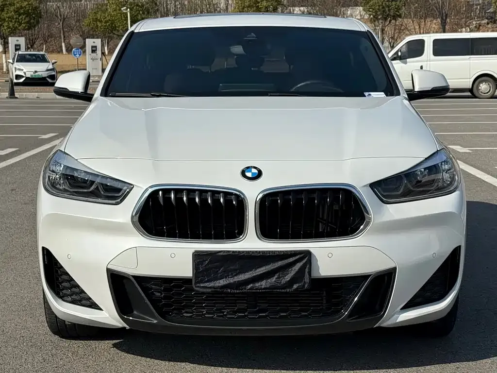 BMW X2 (Import) 2021 из CN, фото 3