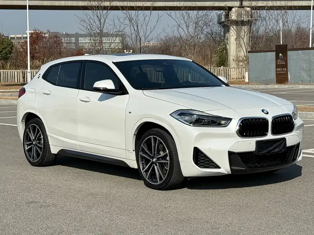 BMW X2 (Import) 2021 из CN, фото 10