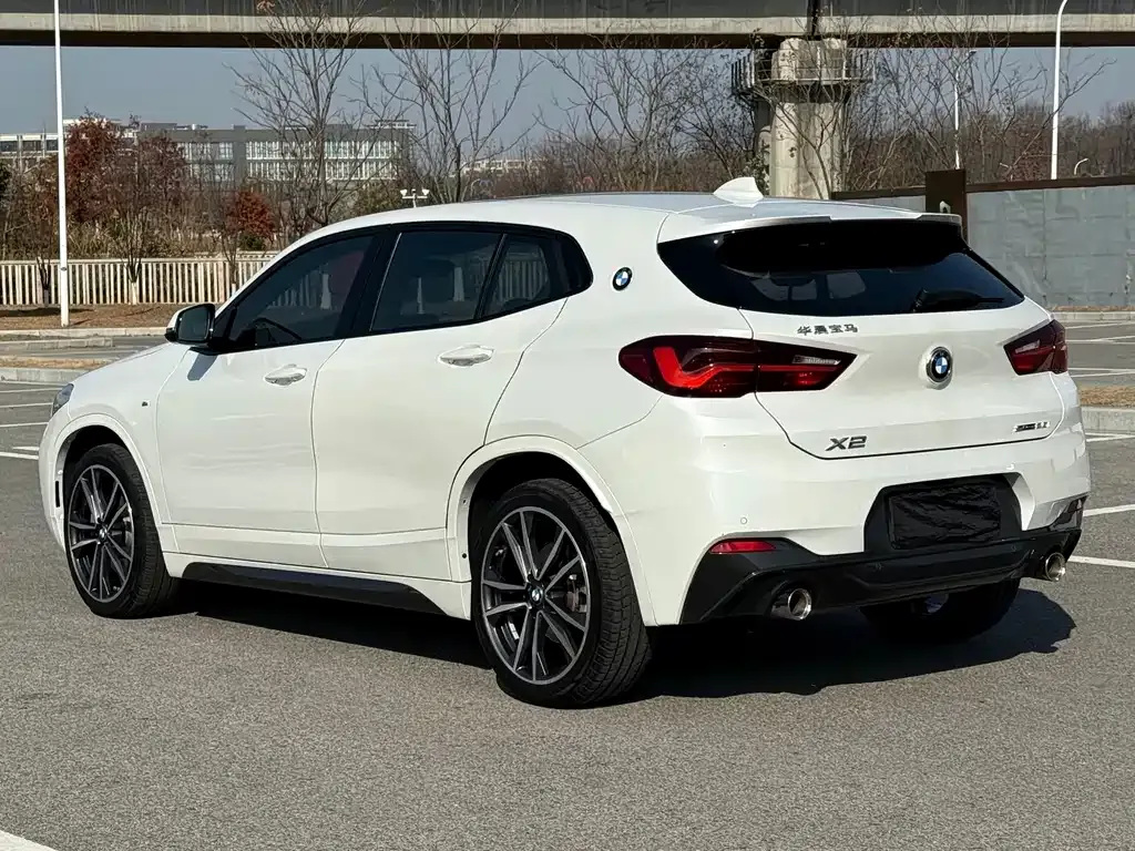 BMW X2 (Import) 2021 из CN, фото 8