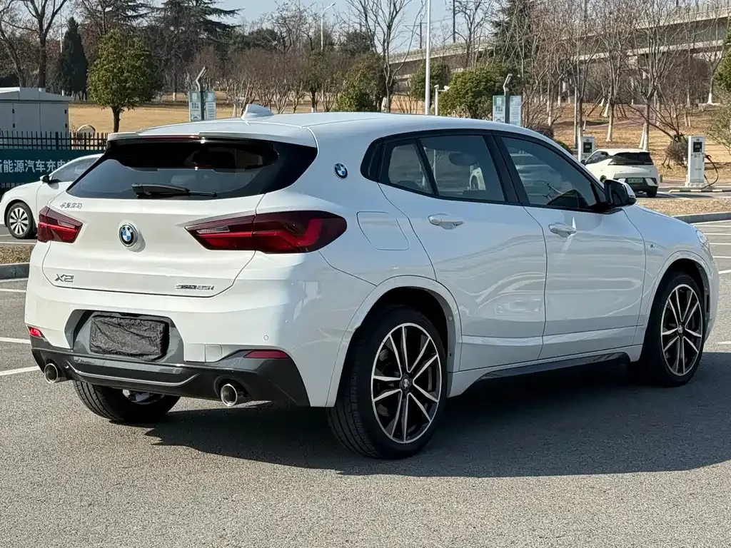 BMW X2 (Import) 2021 из CN, фото 6
